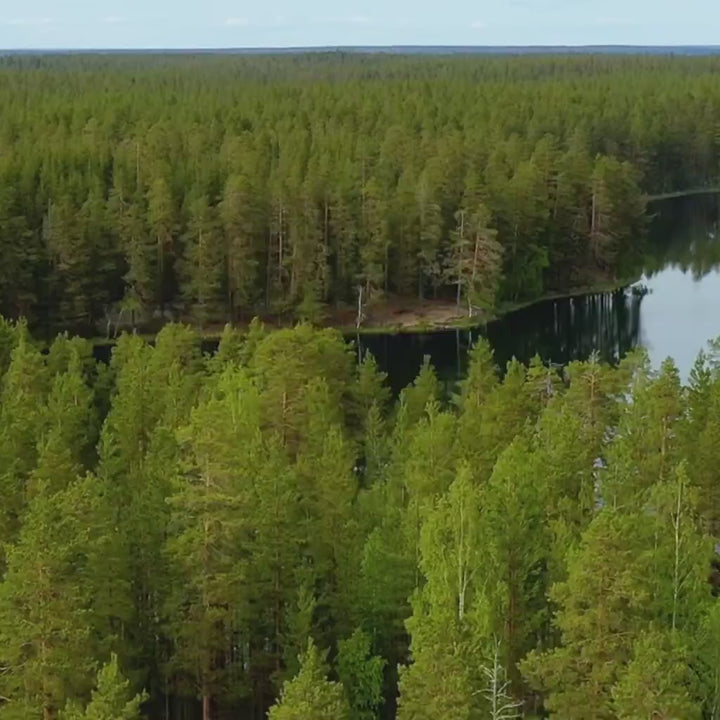 Kai Full Size Sleeper Sofa