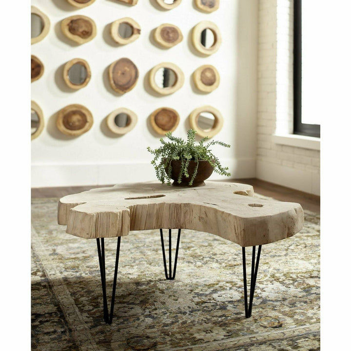 Bleached Slice Coffee Table, Iron Legs Coffee Tables Phillips Collection