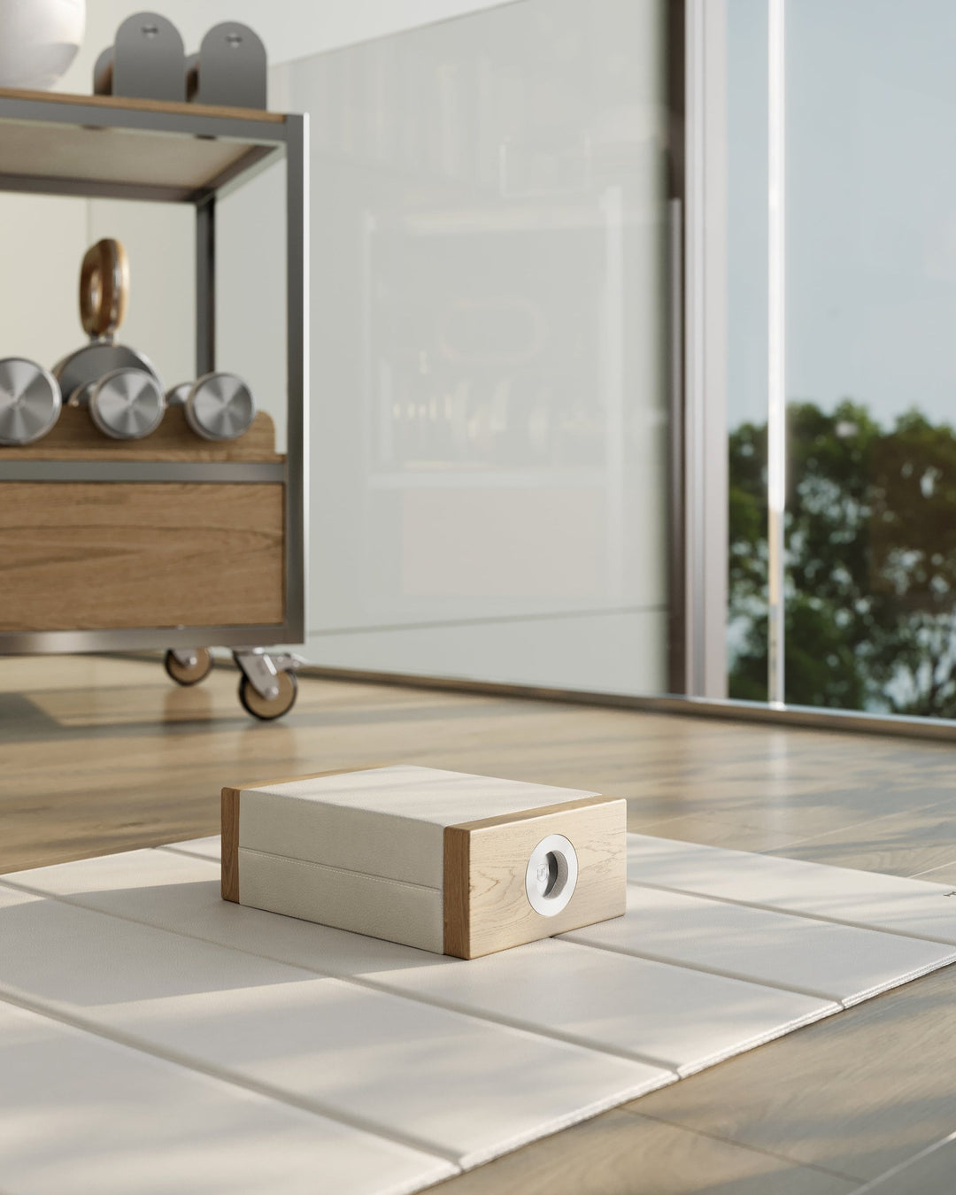 KENN™ Training Cart by FYSIK — lifestyle