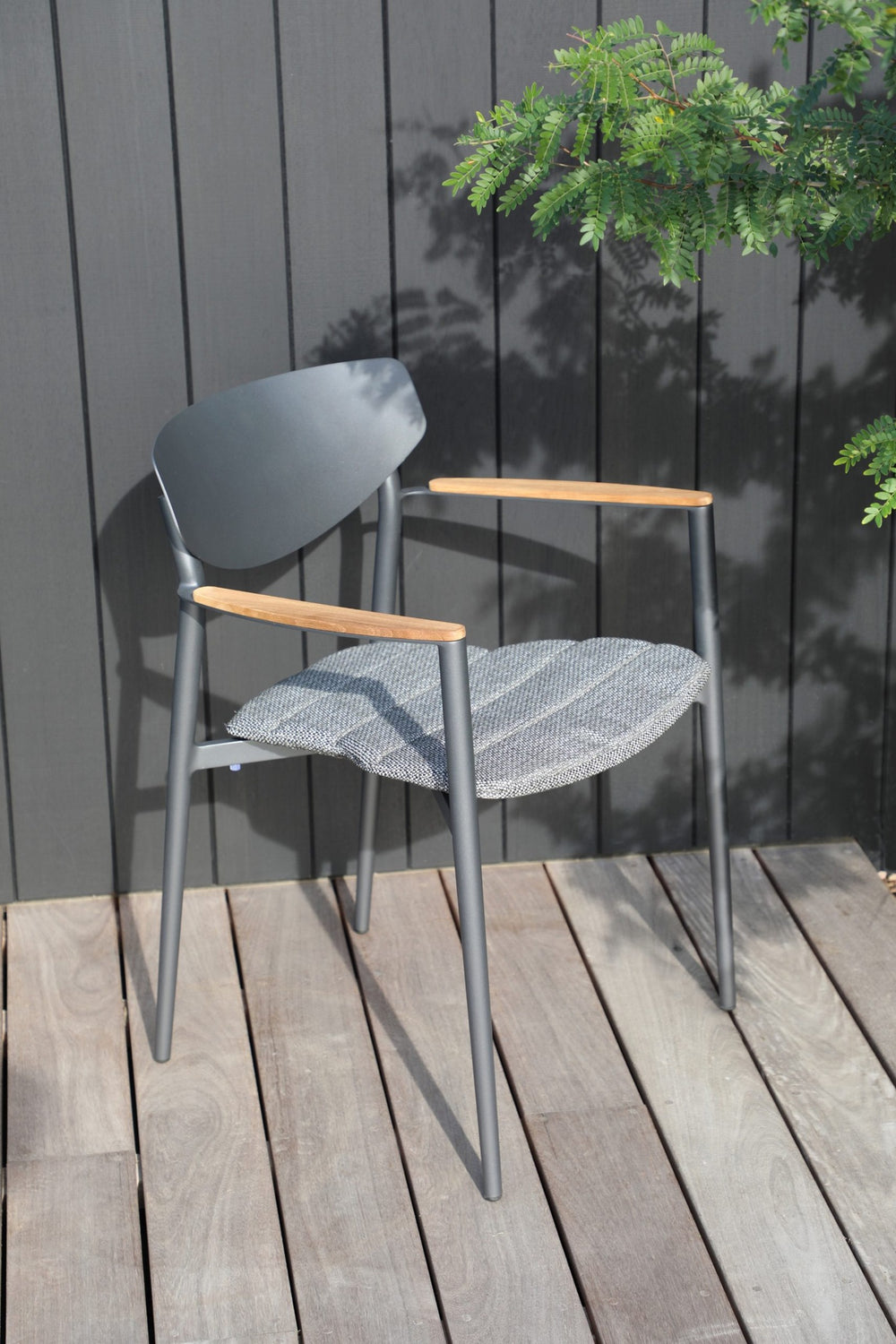 Timo Dining Armchair by Whiteline Modern Living – lifestyle