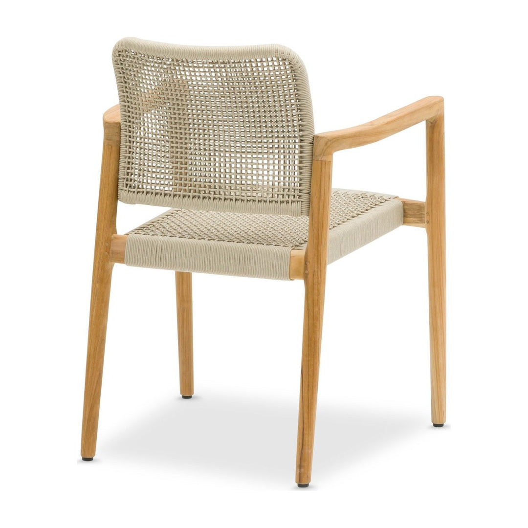 Tolo Dining Armchair by Whiteline Modern Living