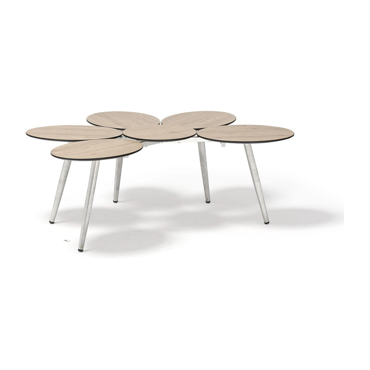 Catalina 4-Piece Outdoor Collection by Whiteline Modern Living
