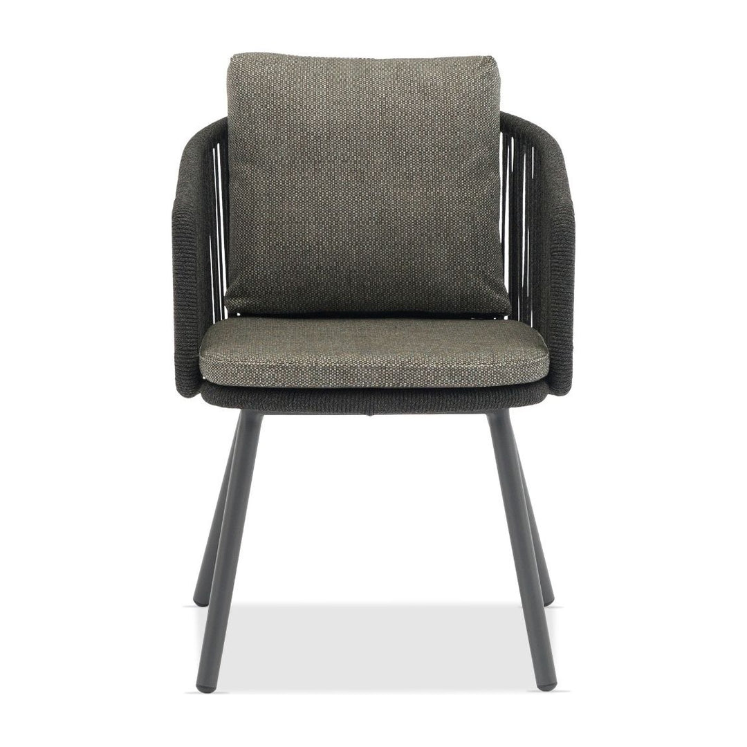 Harbour Dining Armchair by Whiteline Modern Living