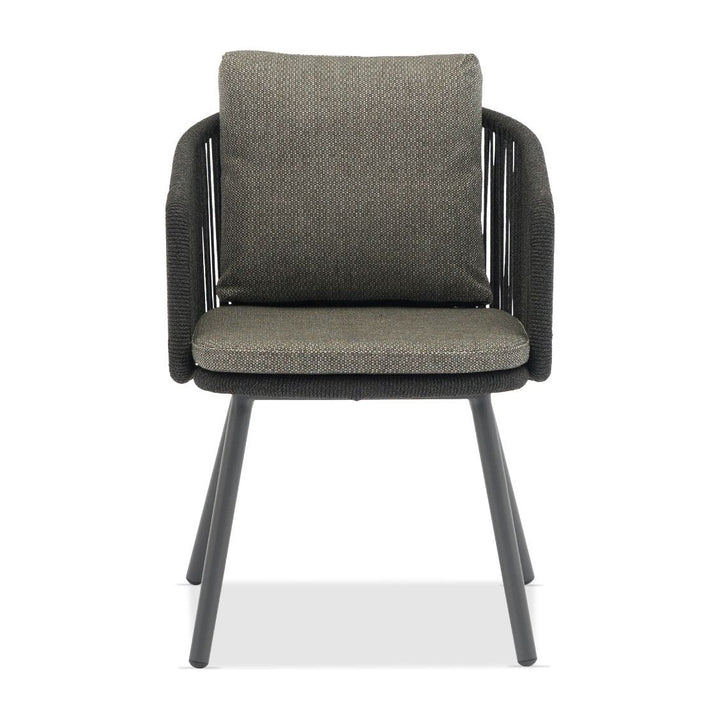 Harbour Dining Armchair by Whiteline Modern Living