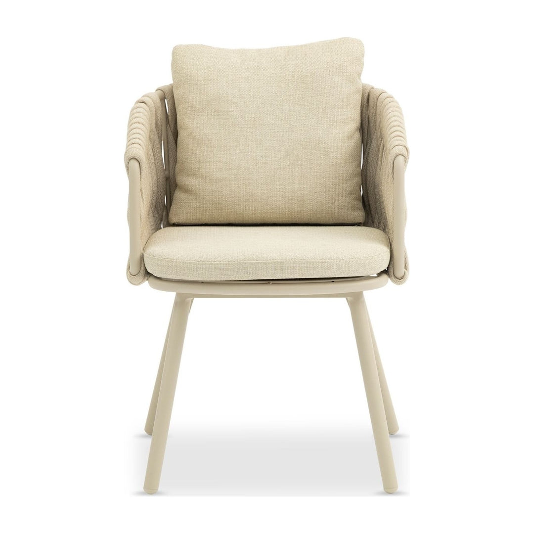 Harbour Dining Armchair by Whiteline Modern Living