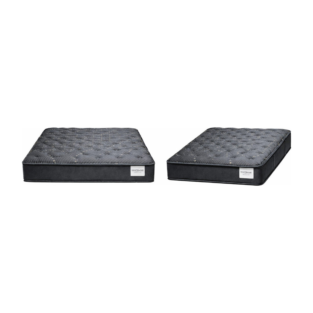 Havenlux Plush Mattress by Whiteline Modern Living
