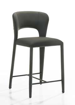 Iris Counter Stool