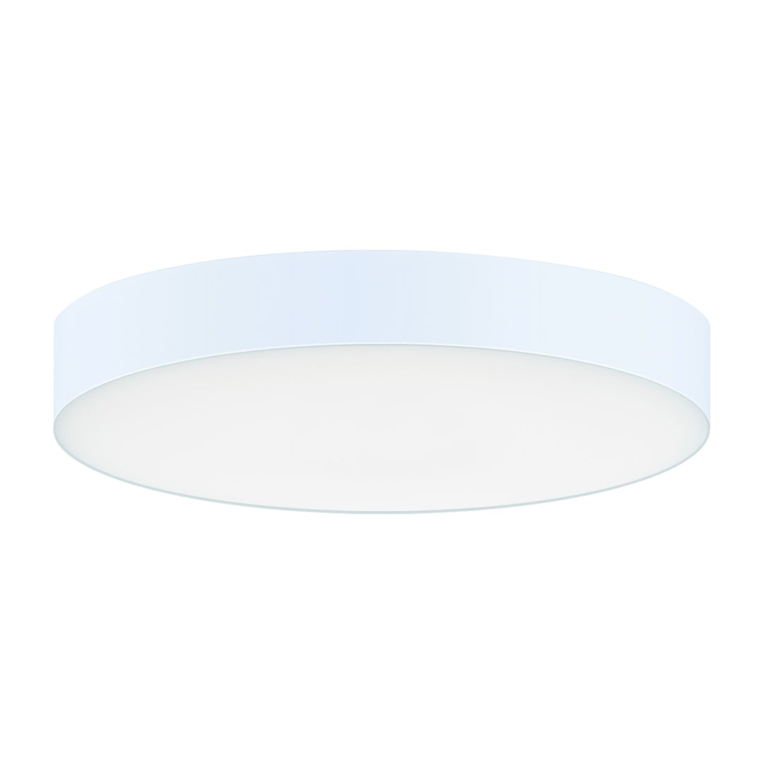Trim 5 RD LED Surface Mount 4000K 0-10V Dim by Studio M Lighting