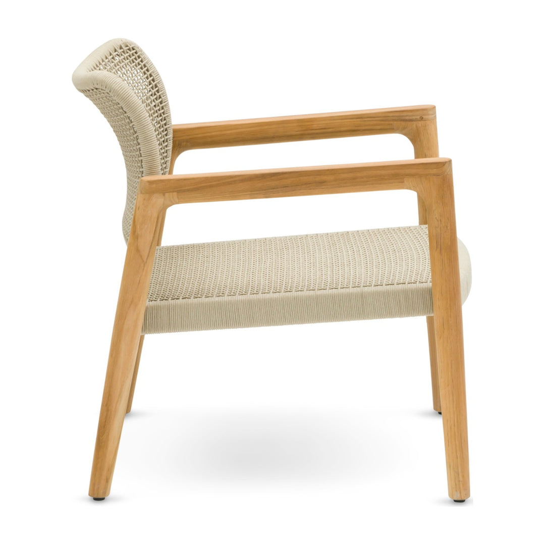 Tolo Armchair by Whiteline Modern Living