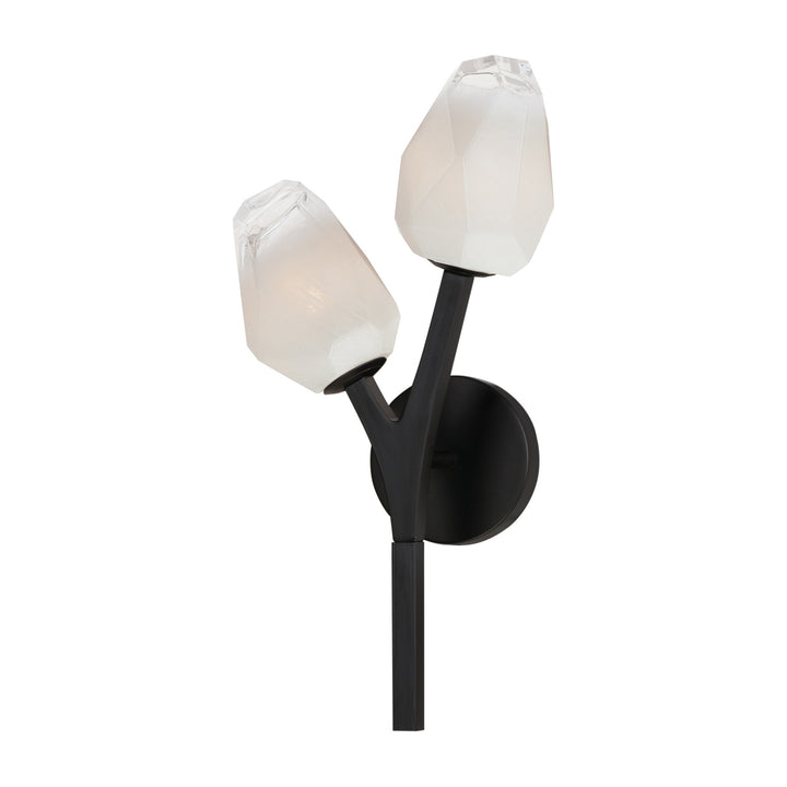 Blossom 2-Light Wall Sconce by Studio M Lighting in Black