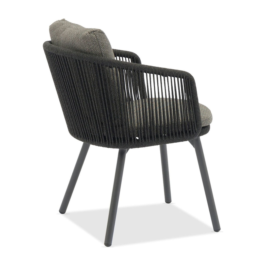 Harbour Dining Armchair by Whiteline Modern Living