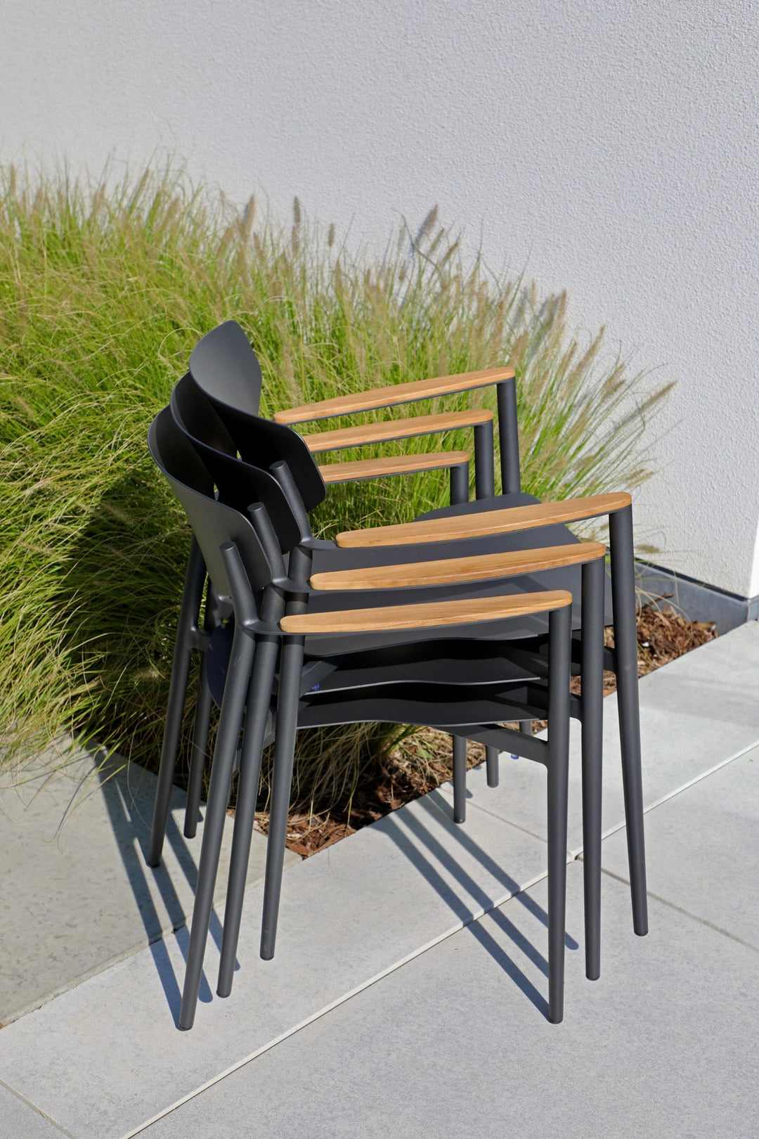 Timo Dining Armchair by Whiteline Modern Living – lifestyle