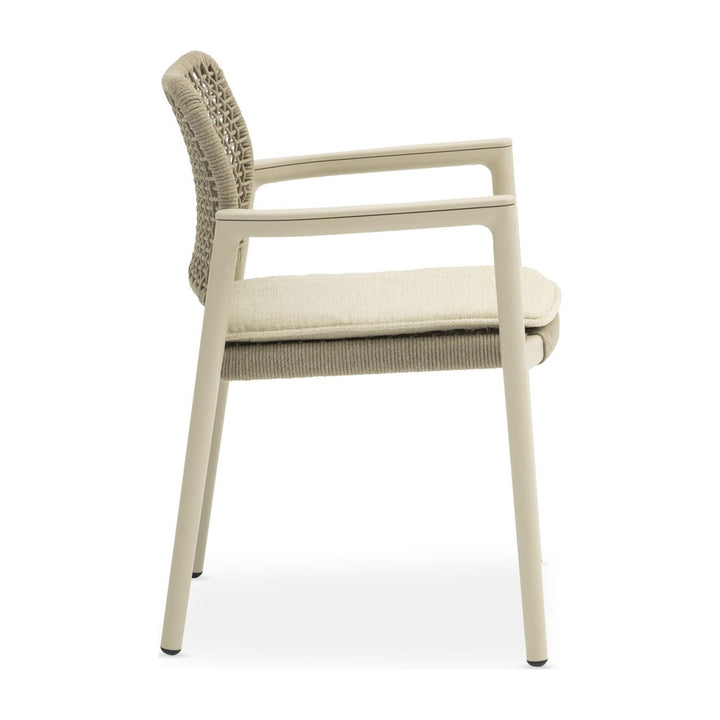 Tolo Dining Armchair - Mocha by Whiteline Modern Living
