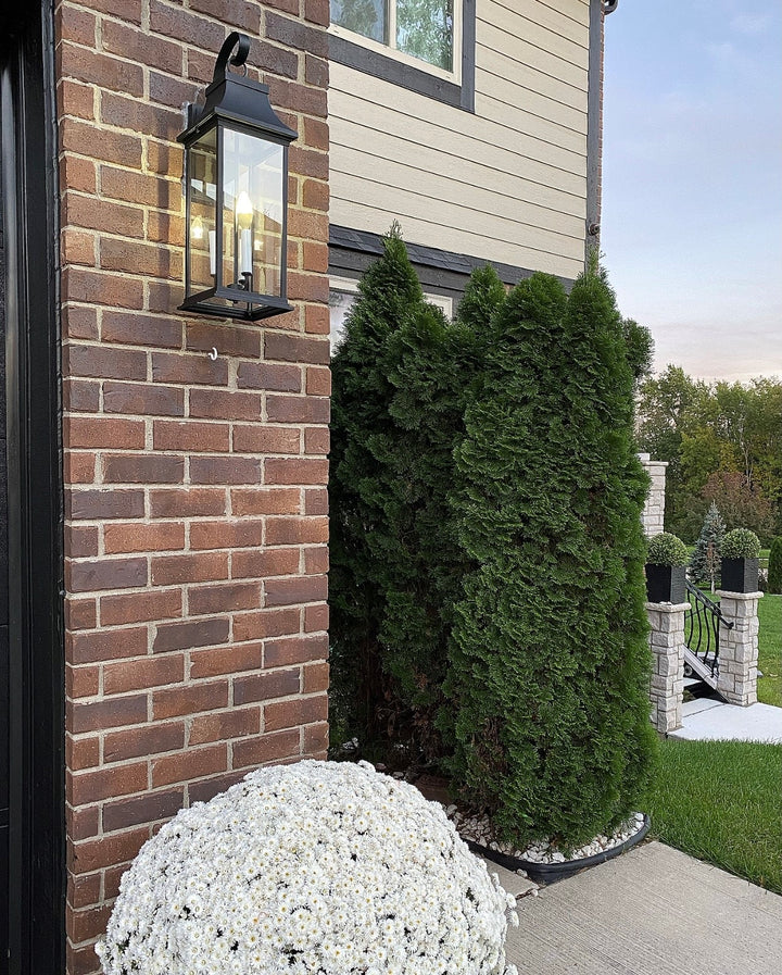 Vicksburg 3-Light Large Outdoor Wall Sconce by Studio M Lighting – lifestyle