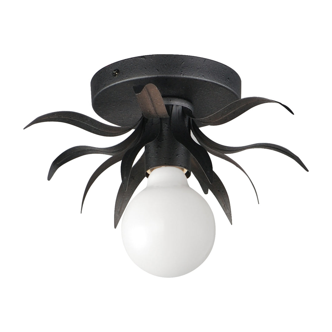 Paloma 1-Light Sconce 26880 by Studio M Lighting