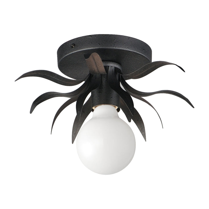 Paloma 1-Light Sconce 26880 by Studio M Lighting