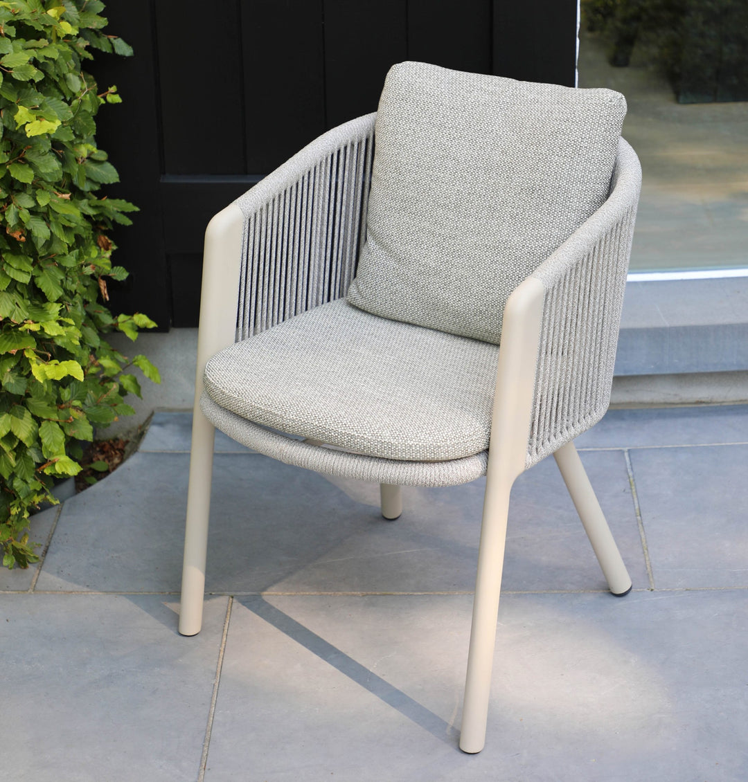 Haven Dining Armchair by Whiteline Modern Living – lifestyle