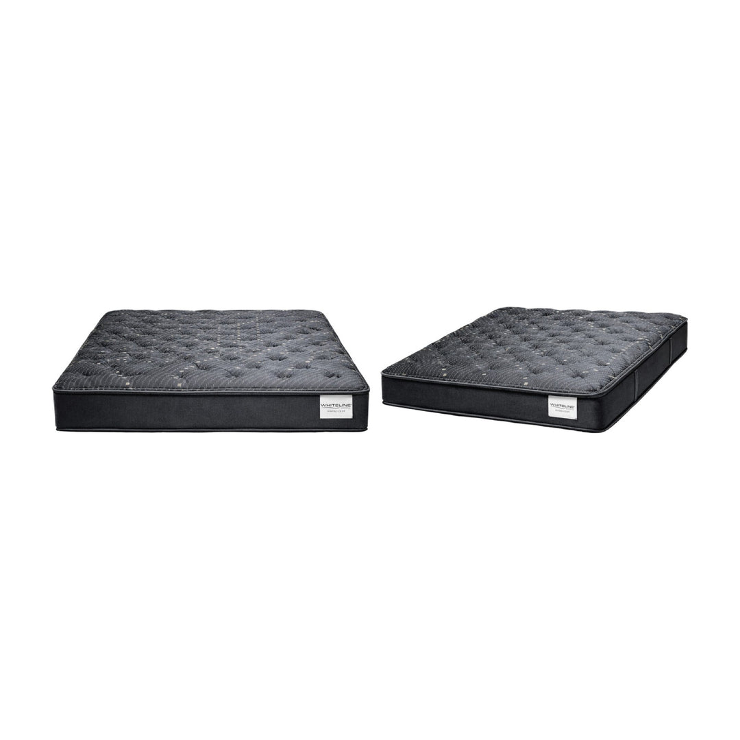 Havenlux Plush Mattress by Whiteline Modern Living