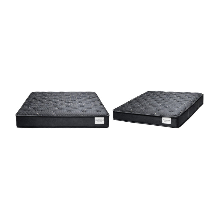 Havenlux Plush Mattress by Whiteline Modern Living