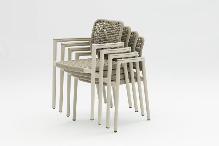 Tolo Dining Armchair by Whiteline Modern Living – lifestyle