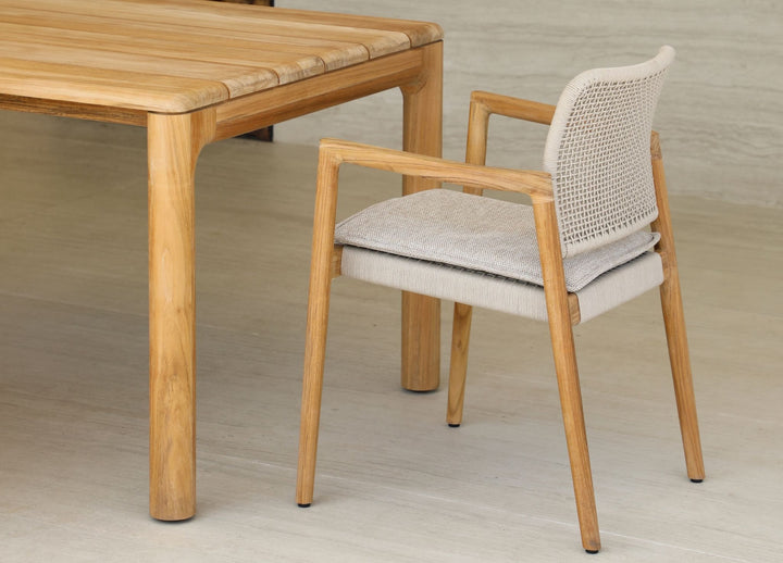 Tolo Dining Armchair by Whiteline Modern Living – lifestyle