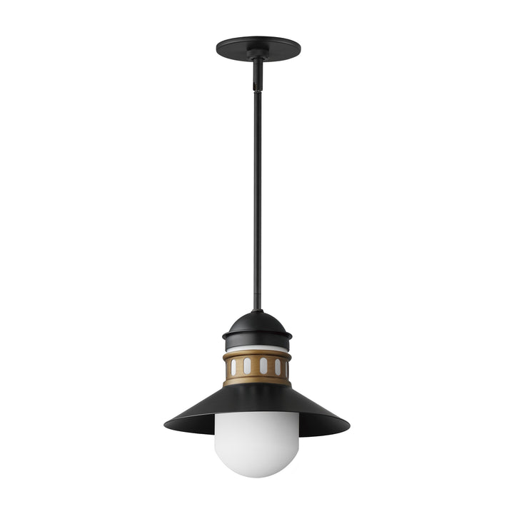 Admiralty 1-Light Outdoor Pendant by Studio M Lighting in Black / Antique Brass