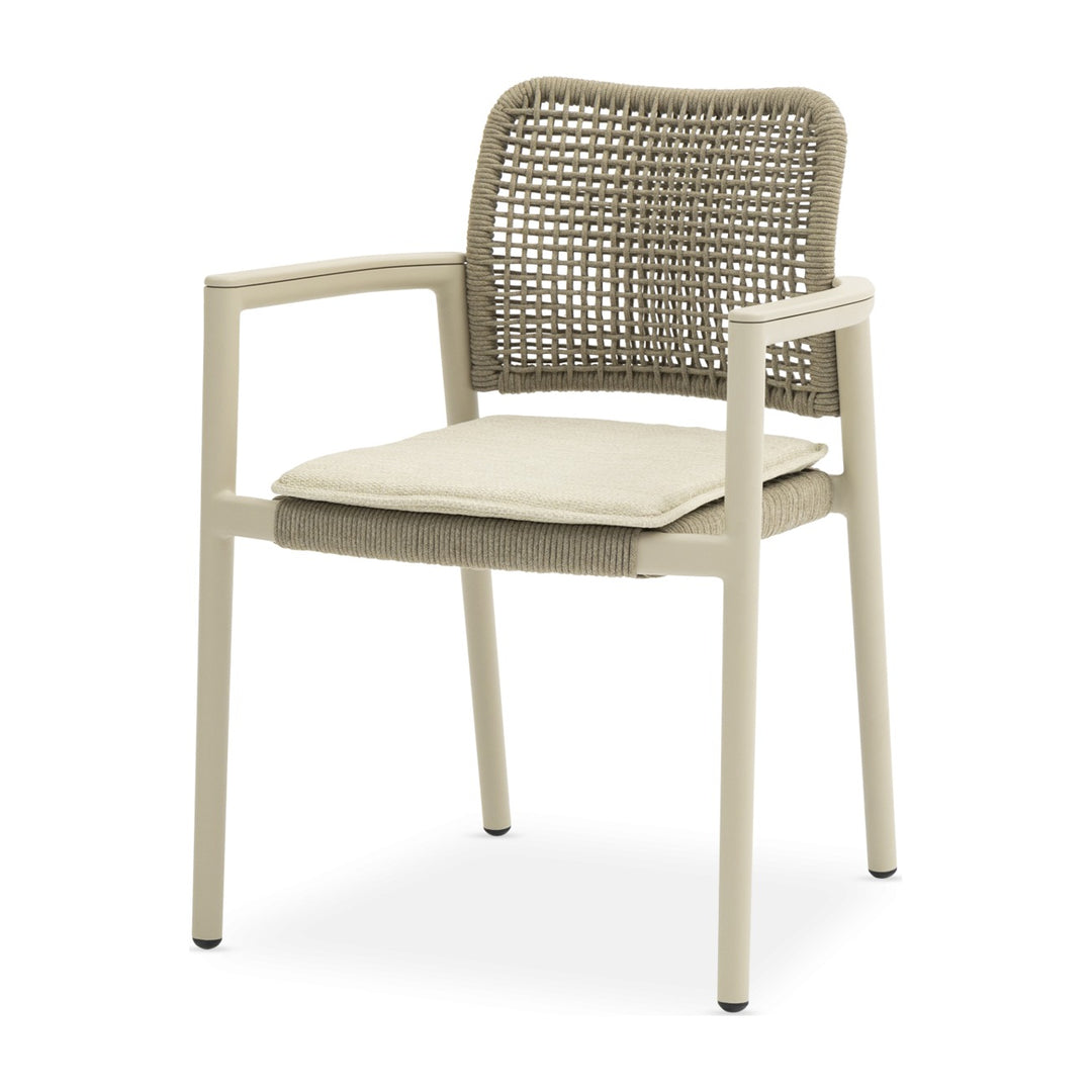Tolo Dining Armchair - Mocha by Whiteline Modern Living