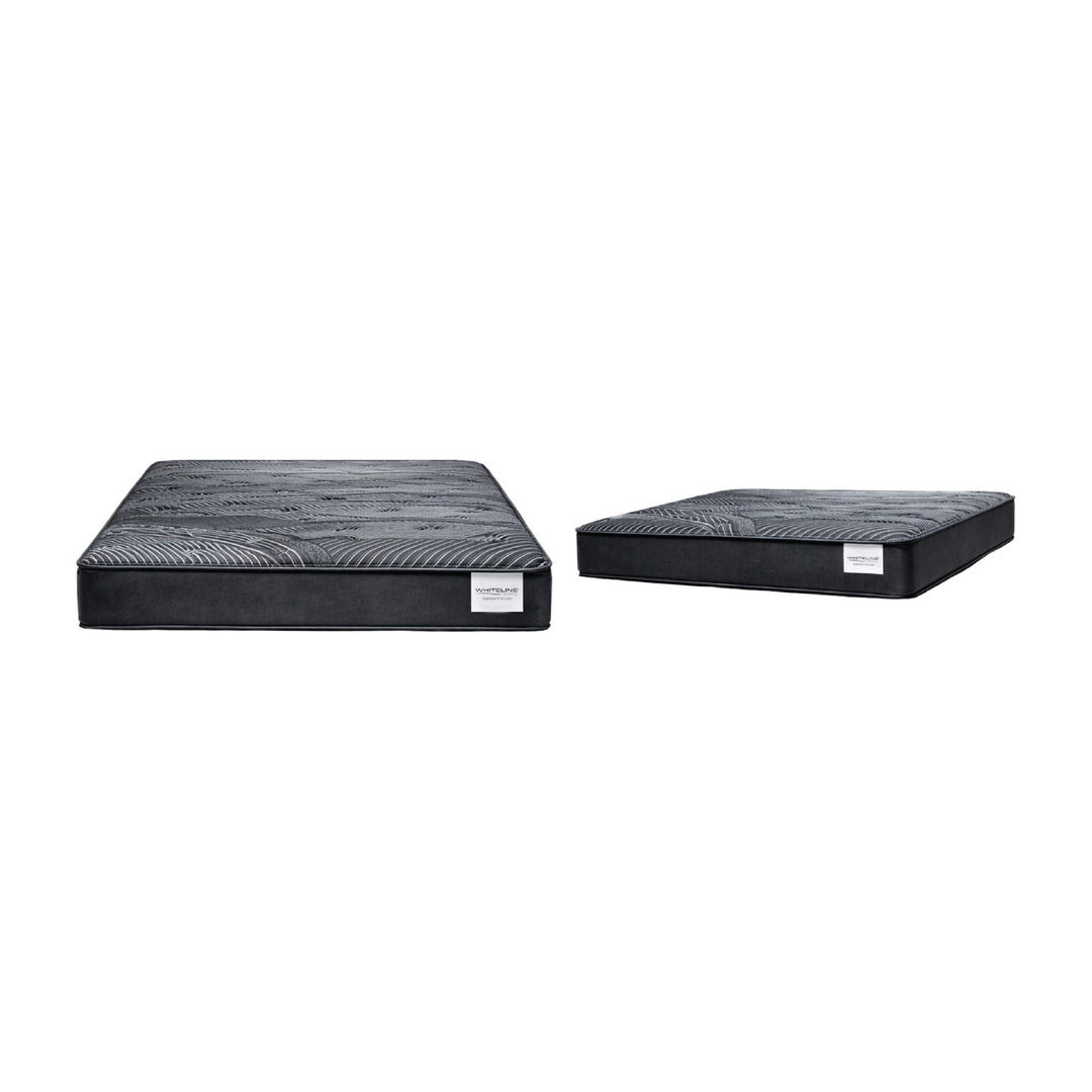 Serenity Plush Mattress by Whiteline Modern Living
