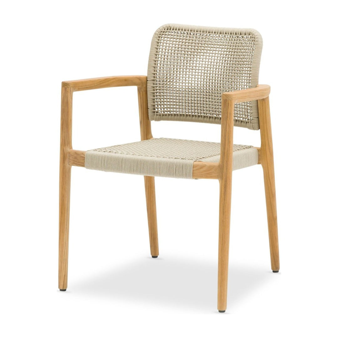 Tolo Dining Armchair by Whiteline Modern Living