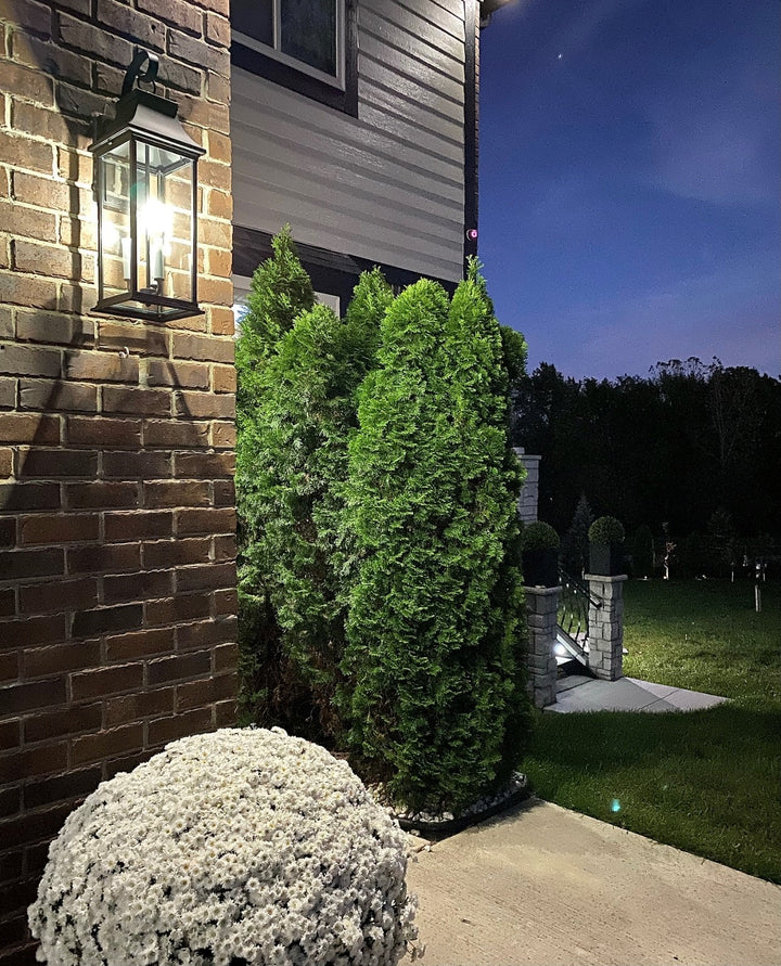 Vicksburg 3-Light Large Outdoor Wall Sconce by Studio M Lighting – lifestyle