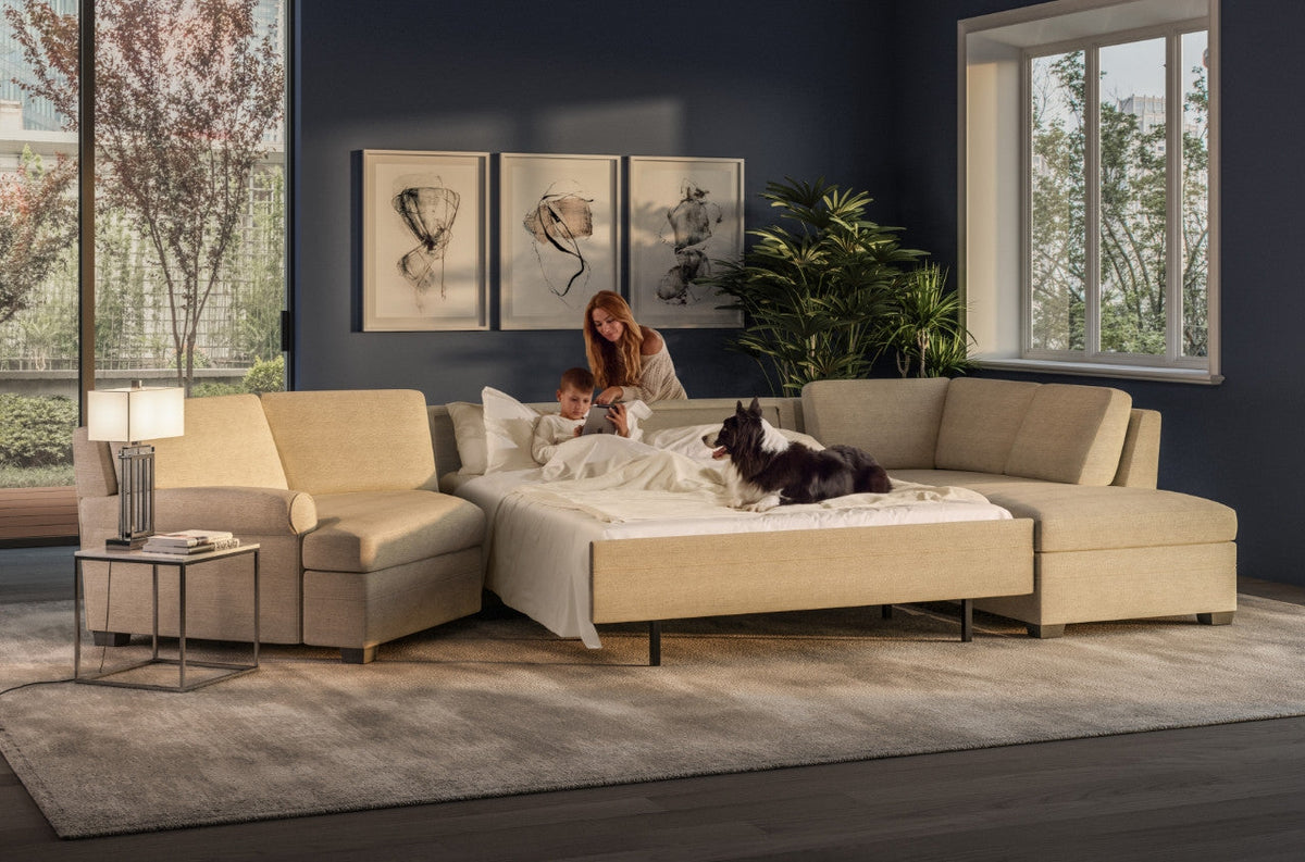 American Leather Sleeper Sale