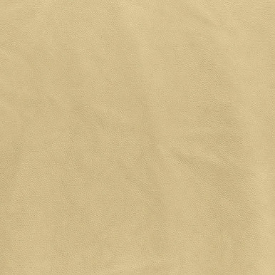 Leather Grade C: Titan Sand swatch