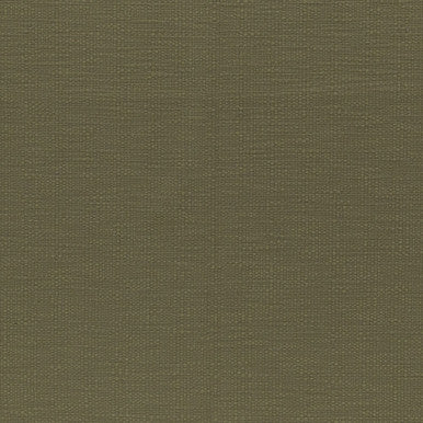 Grade I: Canyon Aloe swatch