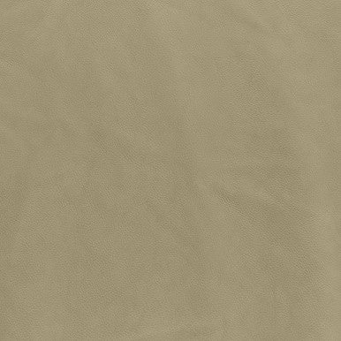 Leather Grade C: Titan Oak swatch