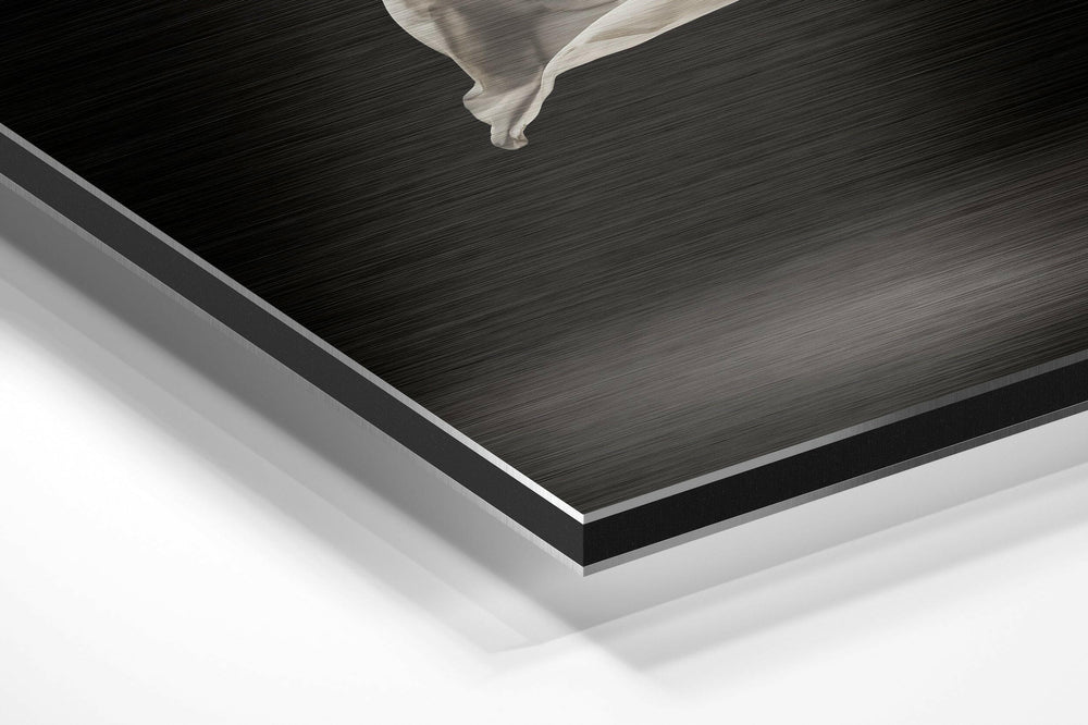 Ballerina Brushed Aluminium Dibond Wall Art.