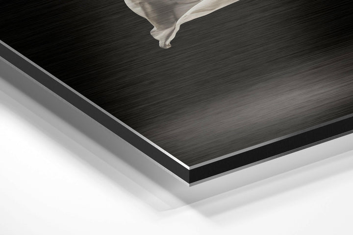 Ballerina Brushed Aluminium Dibond Wall Art.