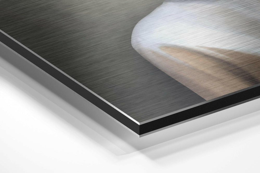 Butterfly Face Brushed Aluminium Dibond Wall Art.