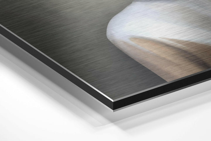 Butterfly Face Brushed Aluminium Dibond Wall Art.
