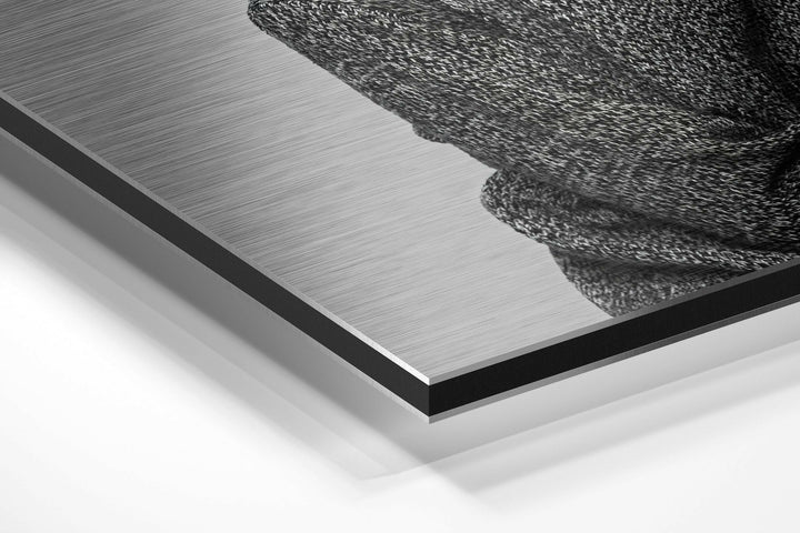 Goat-Headed Brushed Aluminium Dibond Wall Art.