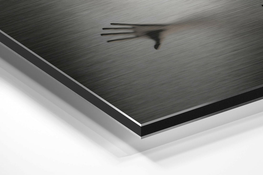 Hands Brushed Aluminium Dibond Wall Art.