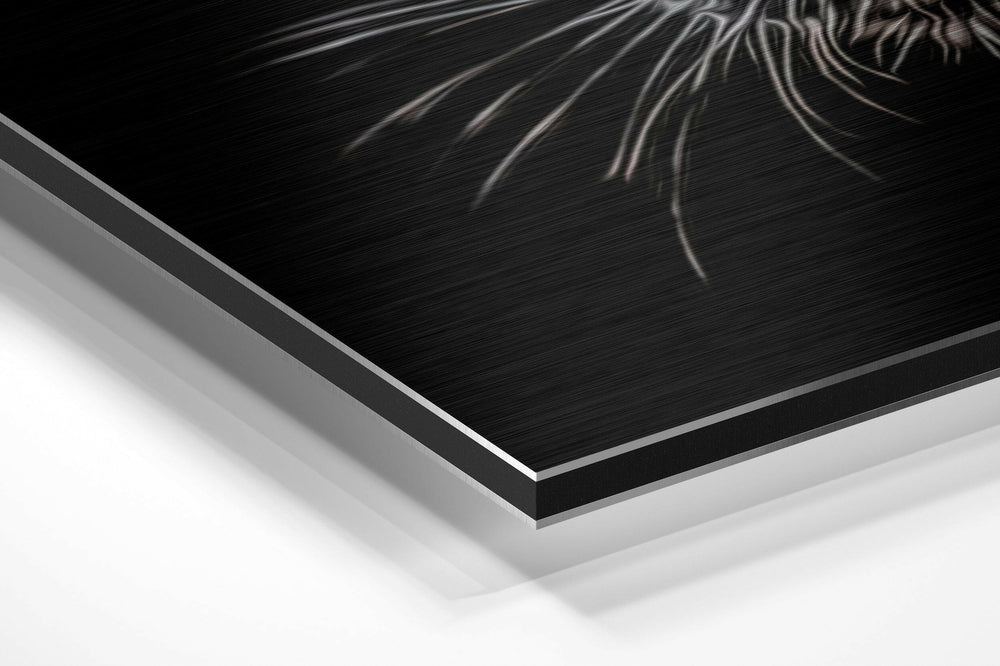 Black Panther Brushed Aluminium Dibond Wall Art.
