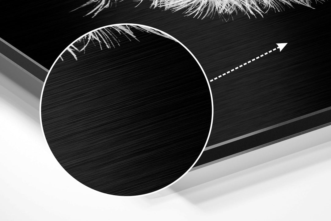 Dandelion Brushed Aluminium Dibond Wall Art.