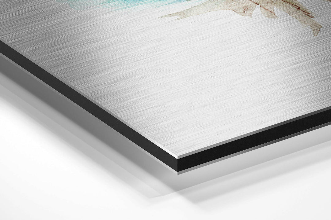Flower Brushed Aluminium Dibond Wall Art.