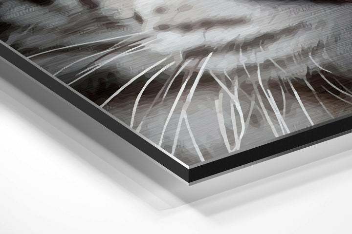 White Tiger Brushed Aluminium Dibond Wall Art.