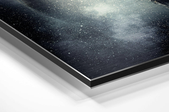 Space Traveller Brushed Aluminium Dibond Wall Art.