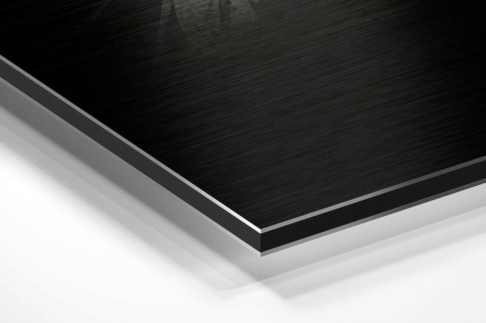 Bird Brushed Aluminium Dibond Wall Art.