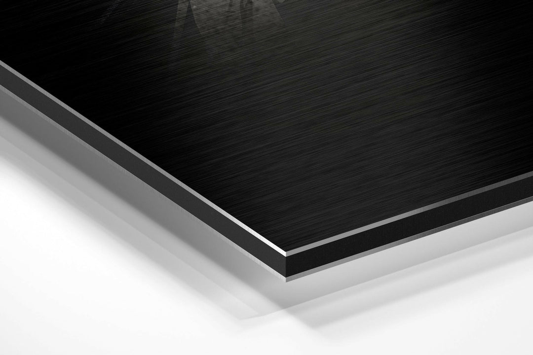 Bird Brushed Aluminium Dibond Wall Art.