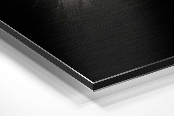 Bird Brushed Aluminium Dibond Wall Art.