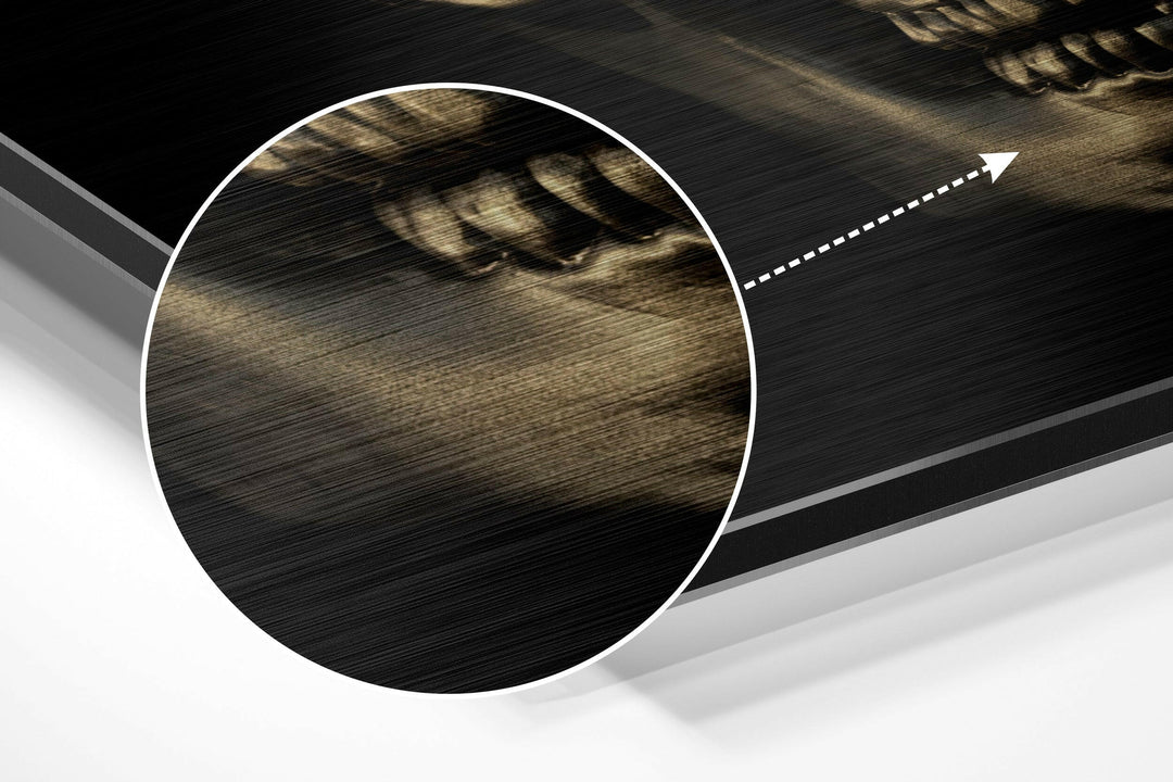 Skull Brushed Aluminium Dibond Wall Art.