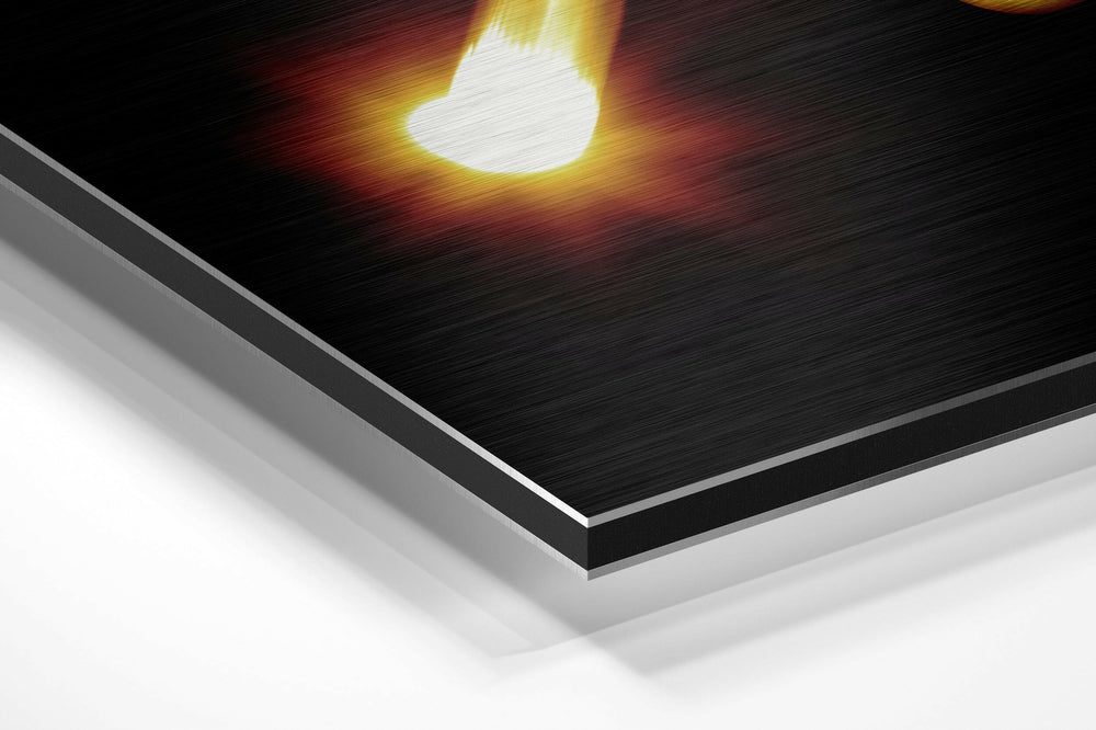 Aquarius Brushed Aluminium Dibond Wall Art.